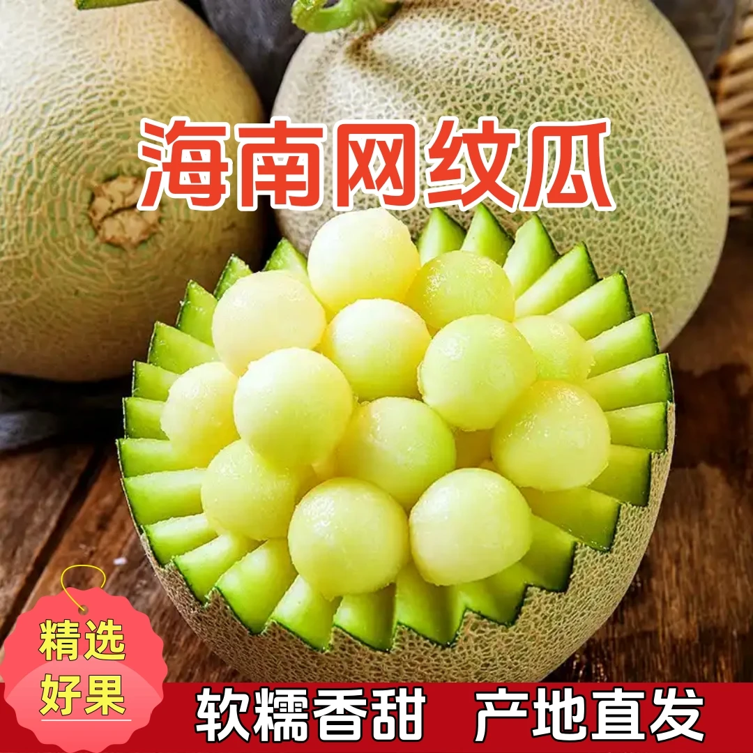 【海南甜瓜】海南网纹甜瓜冰淇淋甜瓜现摘现发产地直发