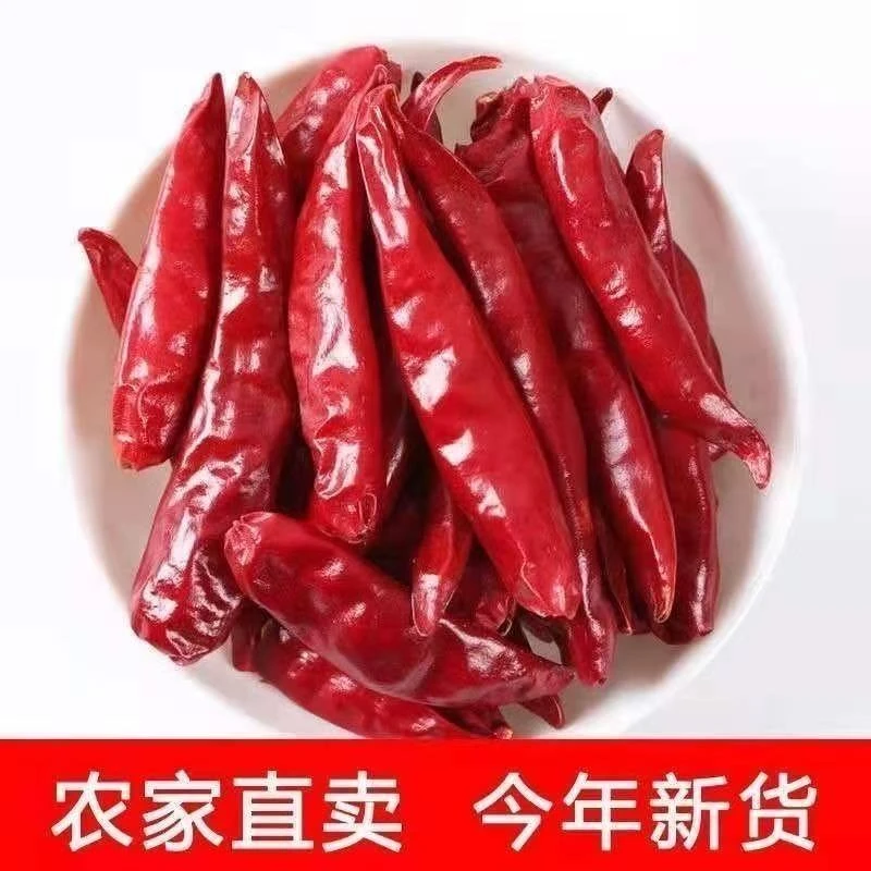 【河南柘城】精品农家微辣特香朝天椒手工采摘今年新货