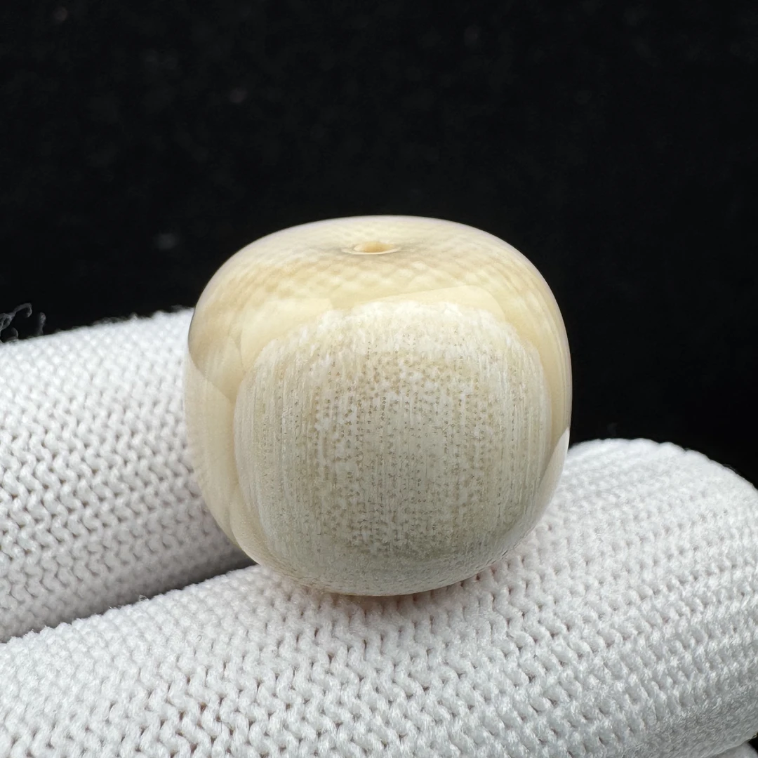 D3994天然猛犸牙 墩子 19.8*16.8mm支持鉴定 假一罚四