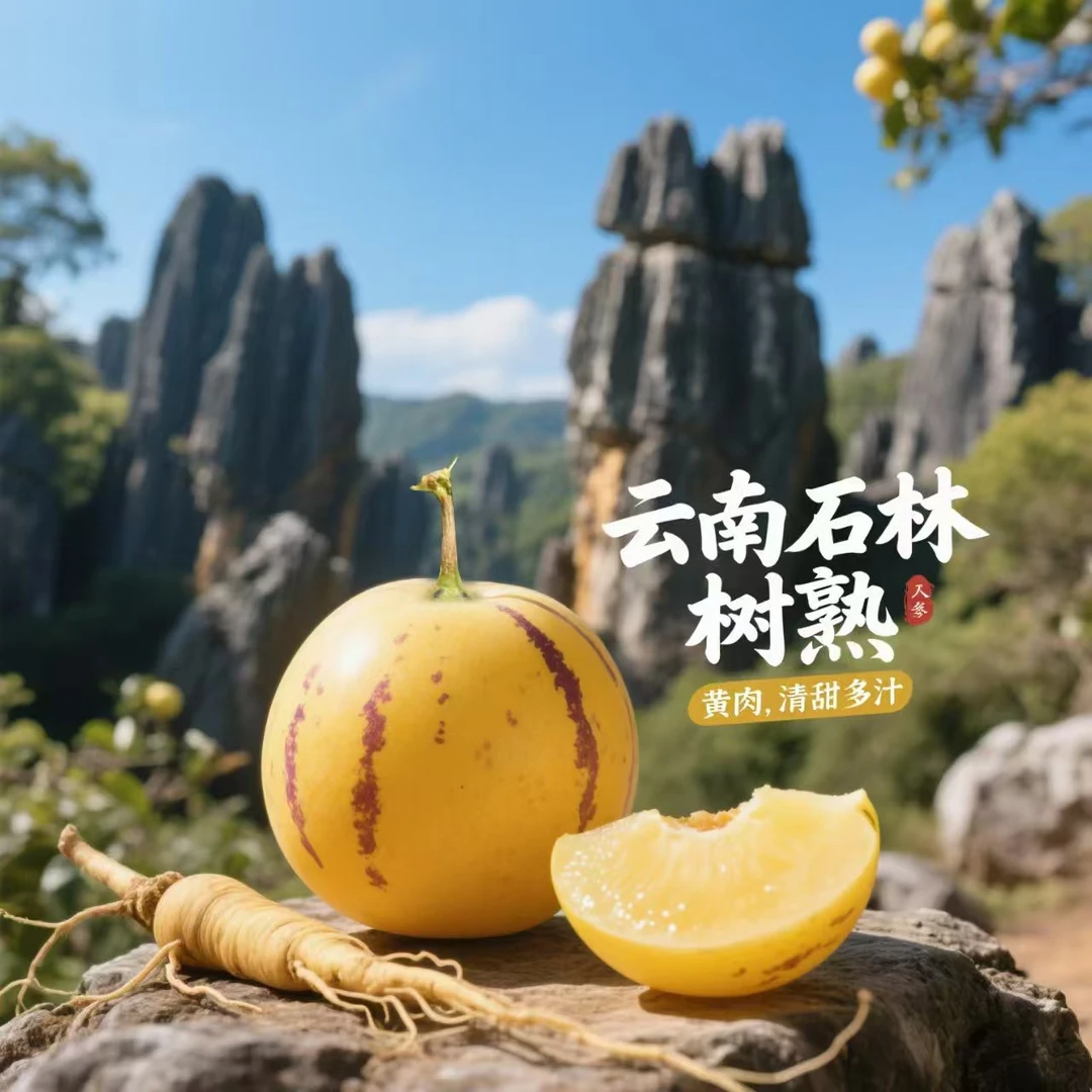 【云南石林人参果】树熟黄皮黄肉黄心应季新鲜清甜多汁人参果