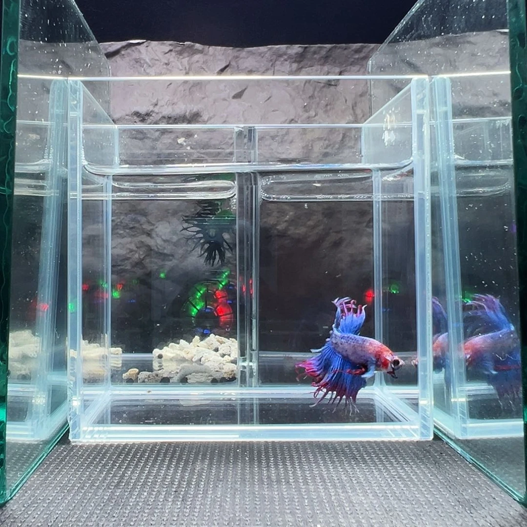 斗鱼精品精品精品精品