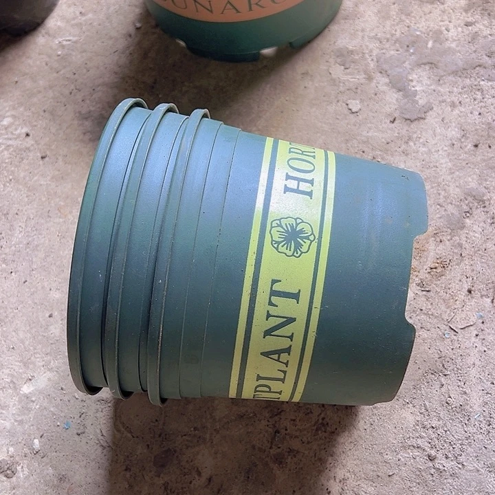 绿色加仑盆口径15.5高12发12个