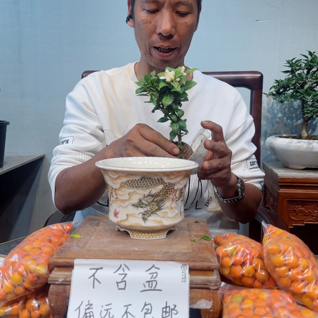 少量花朵（建议范围：2朵-5朵 或40%以下）*️***