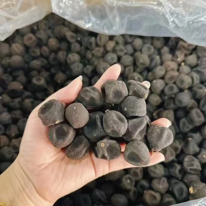 陈皮米果木甘宝宝【嫂子虾干福利】
