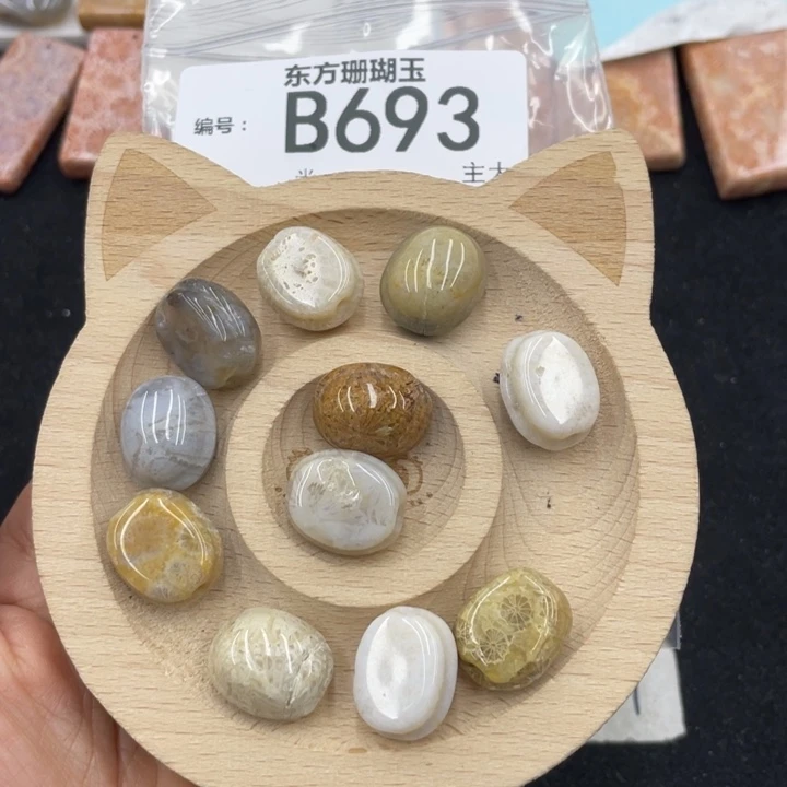 硅化珊瑚（珊瑚玉）颈饰合金