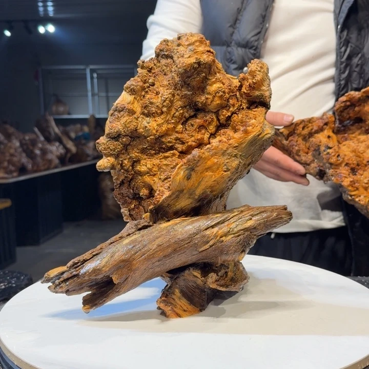 木王*王一刀琥珀木104