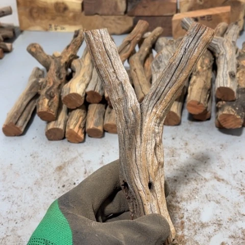 大果紫檀（缅甸花梨）N*