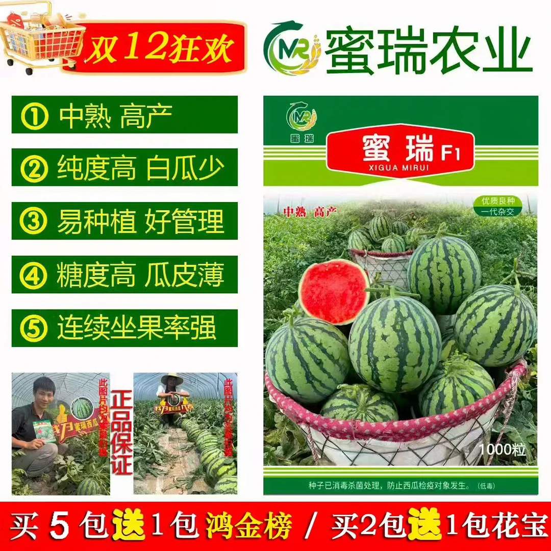 蜜瑞西瓜种子，蜜瑞F1西瓜种子，中熟高产蜜瑞西瓜种子1000粒
