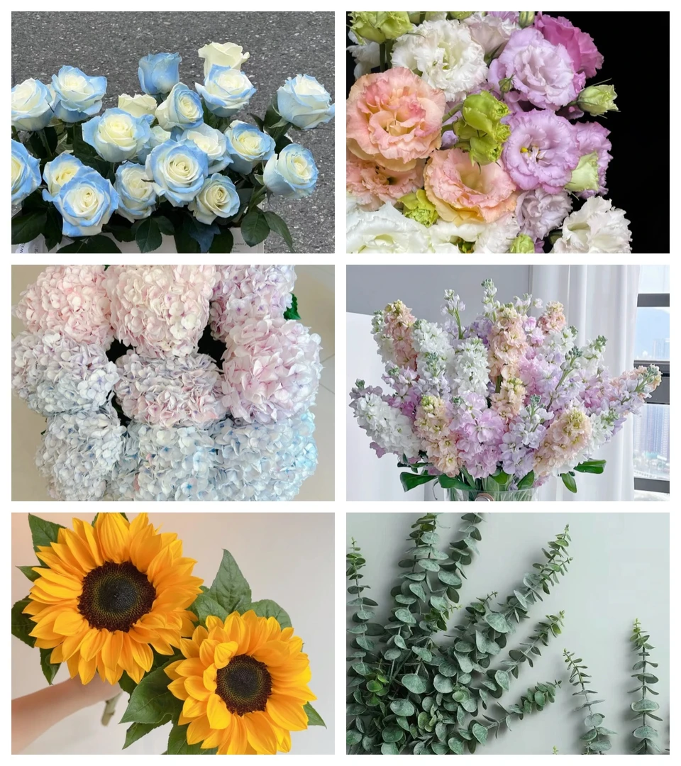 套餐4 碎冰蓝6枝+洋桔梗+重瓣紫罗兰+蓝绣球+向日葵2枝+叶子（坤）