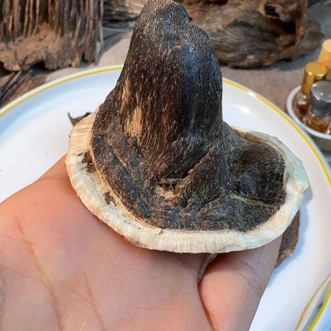 沉香沉香碎屑香港壳仔一个7.5