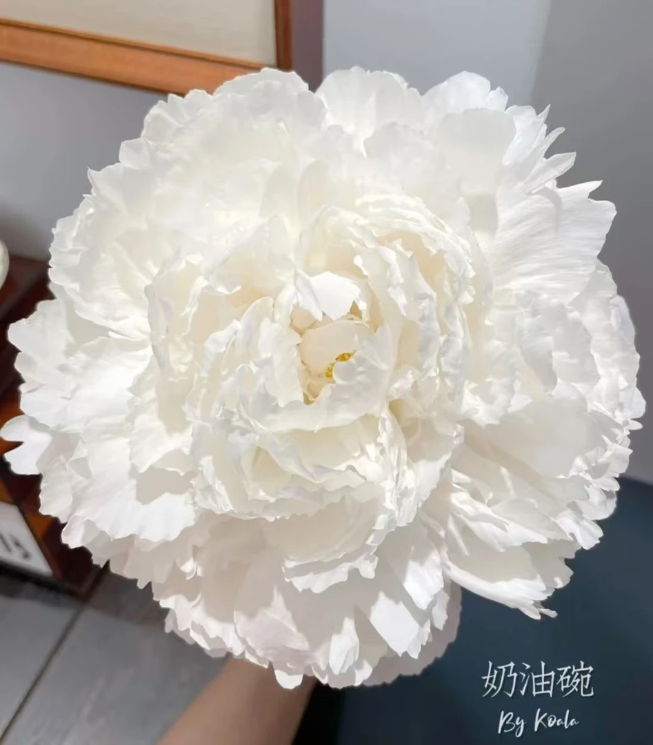 【奶油碗】盆栽重瓣芍药庭院阳台地栽盆栽耐寒观赏花卉趣味春季