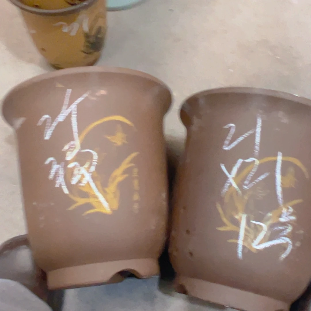 紫砂12……………………………………