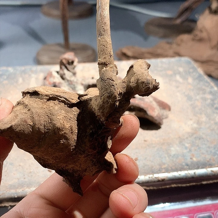 黄花梨/降香黄檀鑫*原料直发