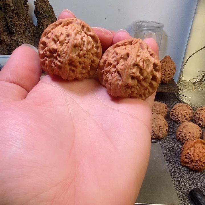 把件文玩核桃马*白狮子文玩核桃