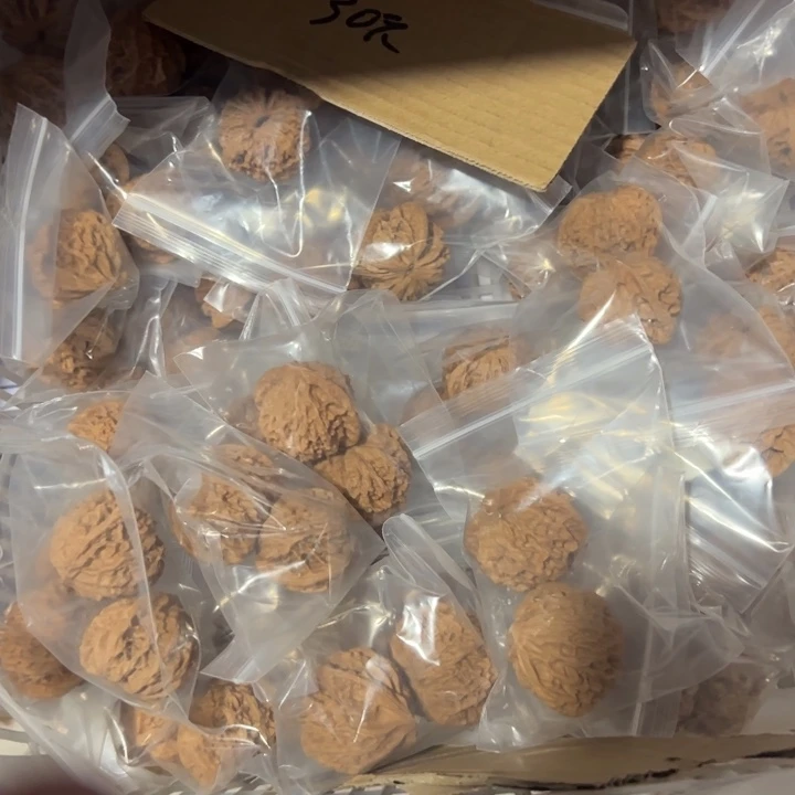 文玩核桃吊坠火龙住