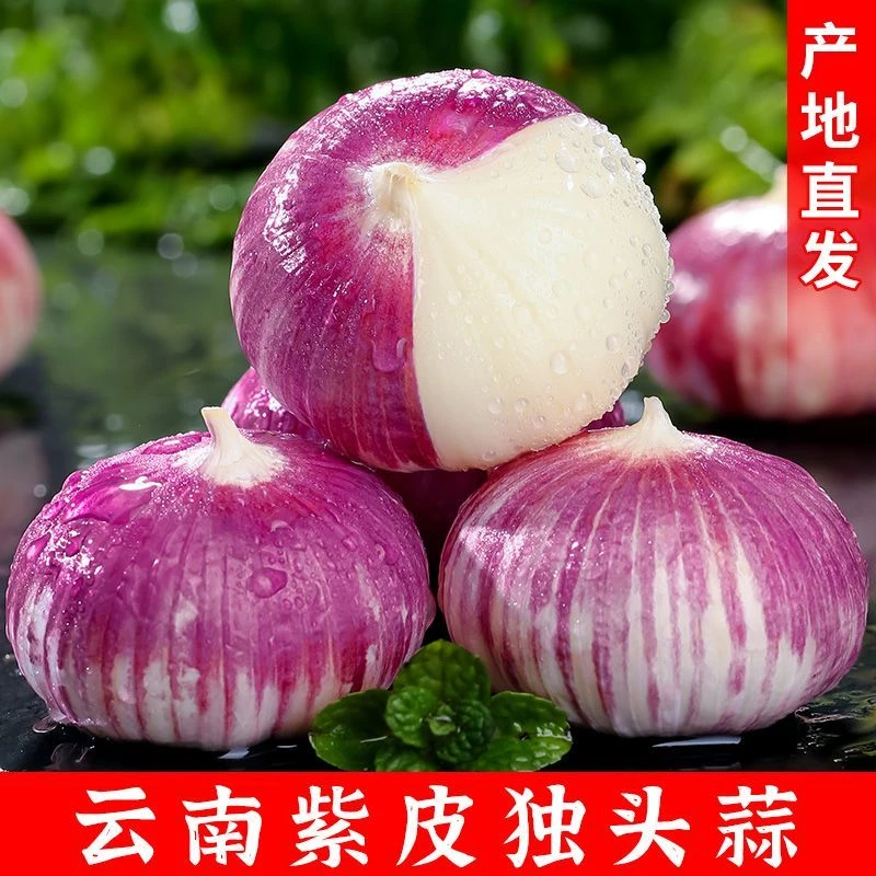 2025云南紫皮独头蒜新鲜大蒜现挖新大蒜湿蒜0.5/1/2/3/5斤包邮