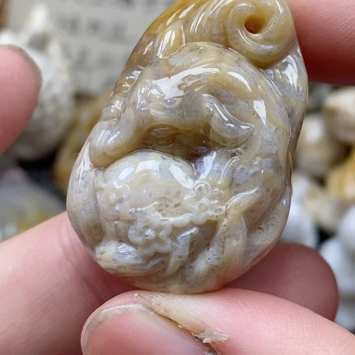 颈饰未镶嵌硅化珊瑚（珊瑚玉）小