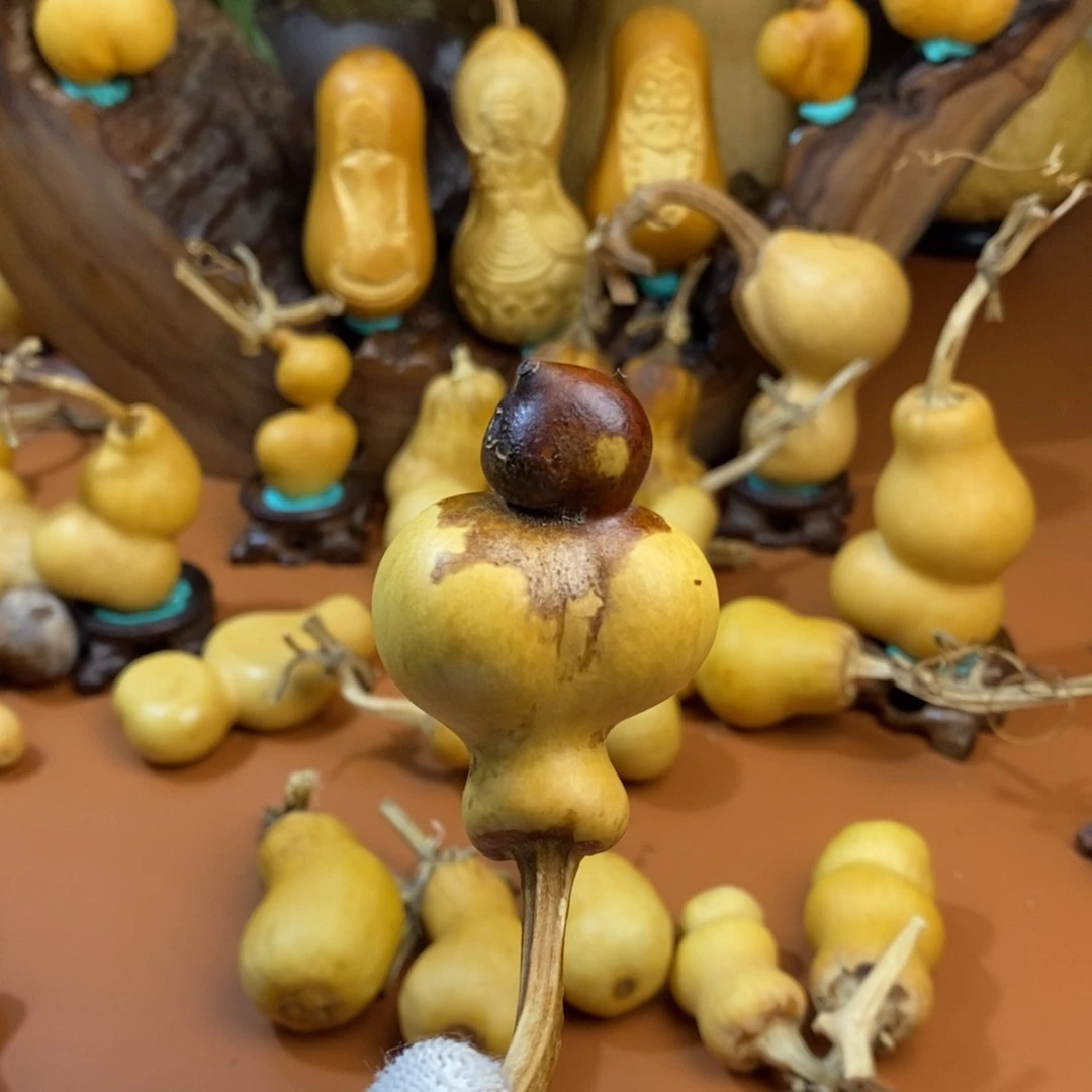 大***呦咯咯局长路途考虑教练咯