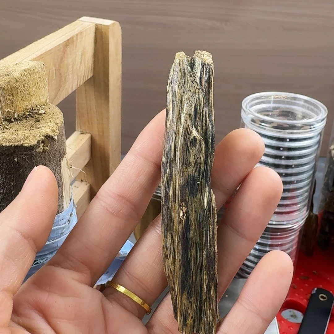 香料绿奇楠虫漏陆河7克