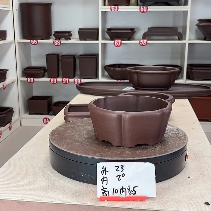 花盆紫砂南瓜直口
