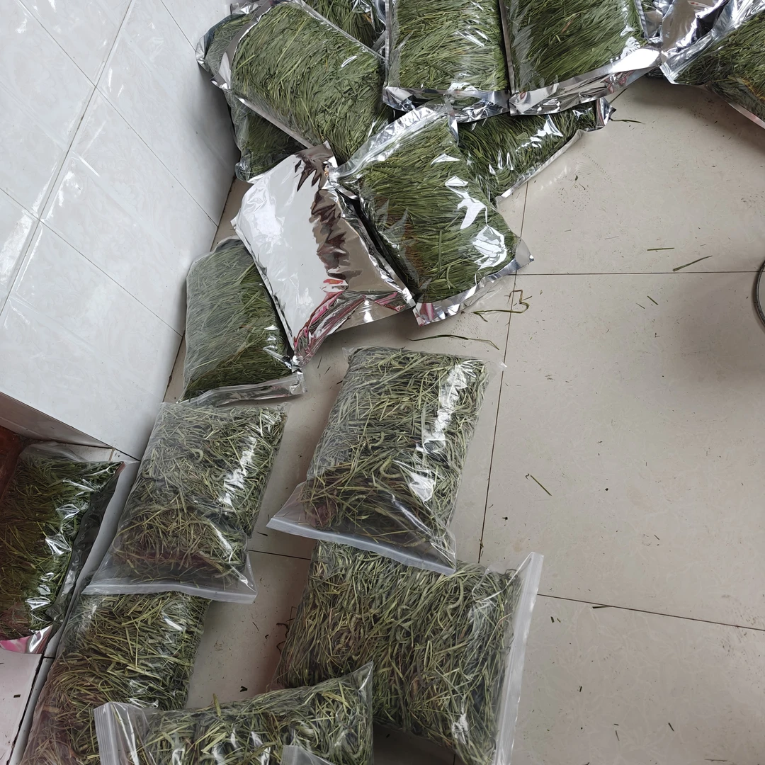 头茬晒干提摩西草兔子龙猫猪豚鼠牧草干草粮兔粮