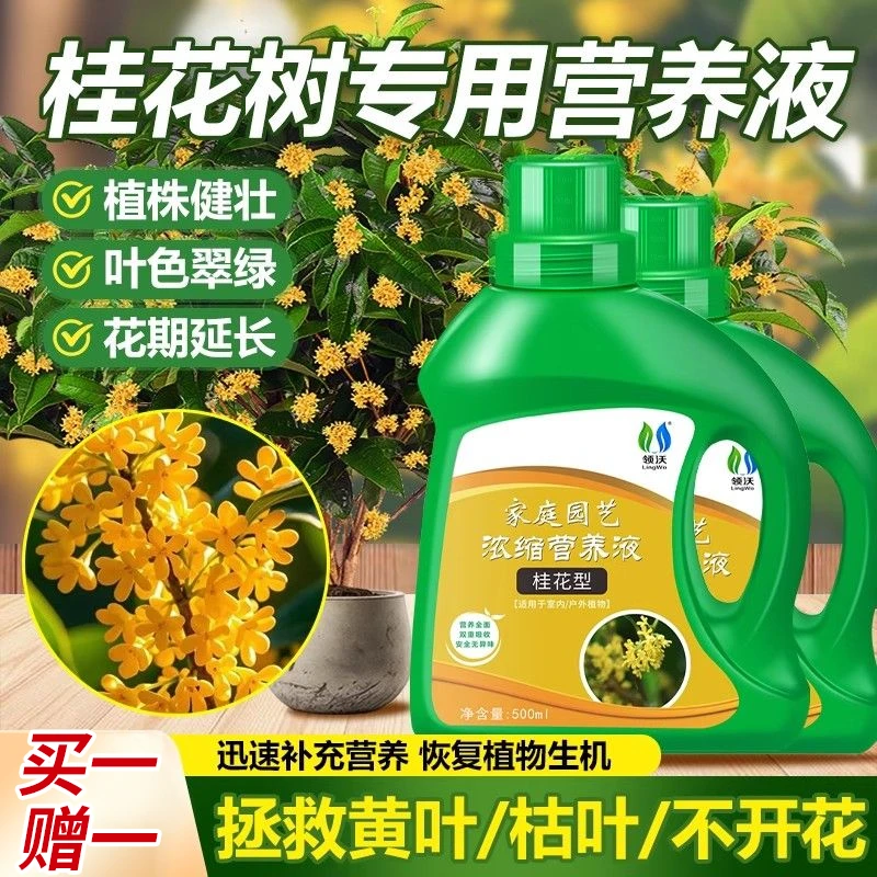 【买一赠一】桂花专用营养液黄叶枯芽不开花绿植花卉通用金桂四季桂