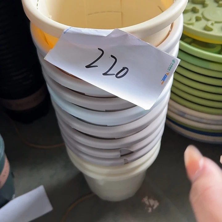 编号220瑕疵6个无托