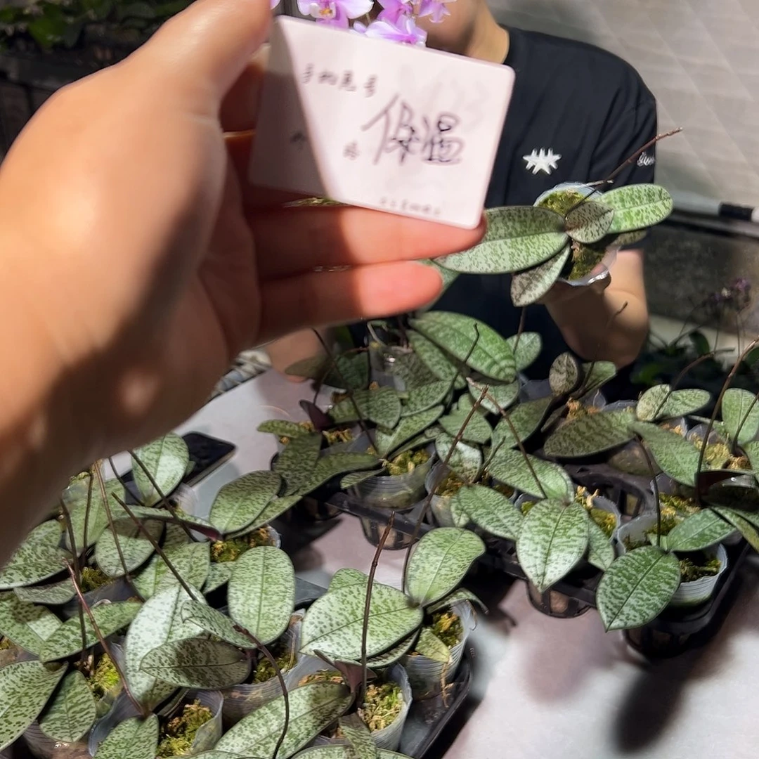 完全开放保温 天气冷的地方要拍