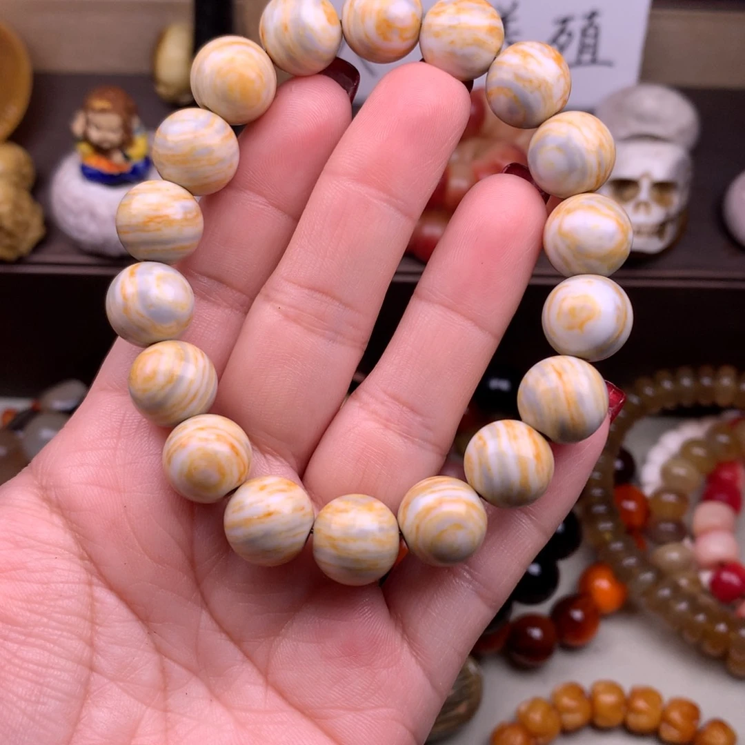 驼骨其他猛犸臼齿