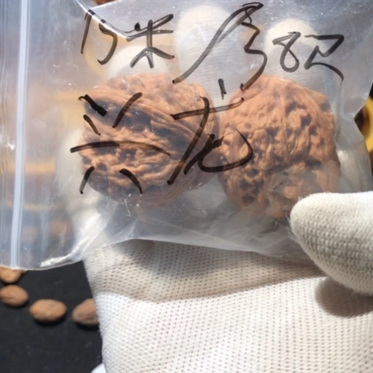 文玩核桃把件兴*?南疆石