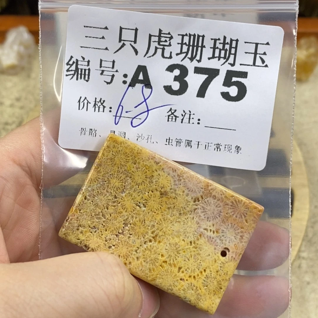硅化珊瑚（珊瑚玉）1未镶嵌穿**年