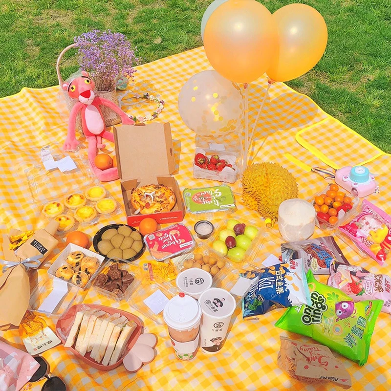 荞芬野餐垫防潮垫加厚户外地垫便携户外露营野炊防水春游草坪坐垫