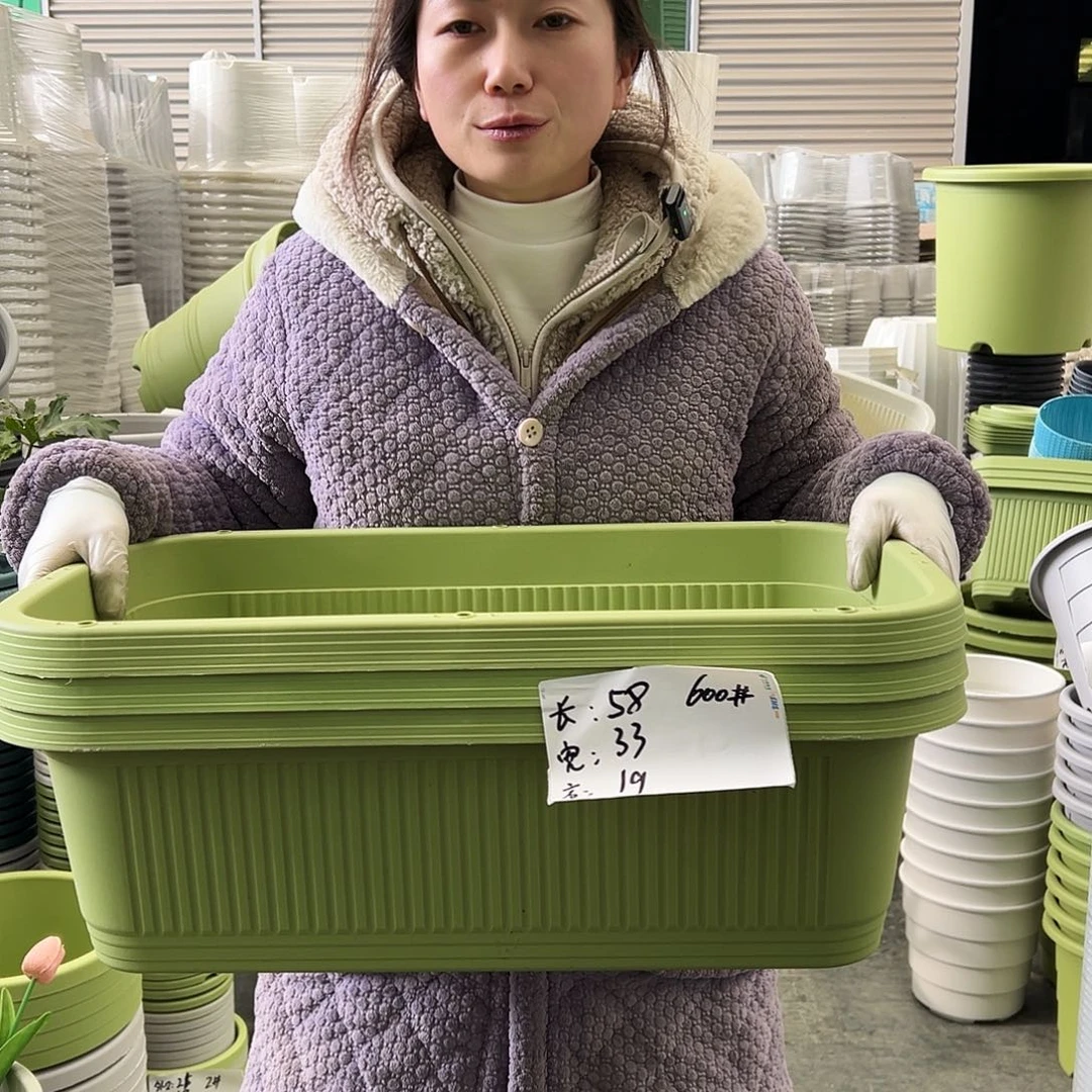 菜盆600#果绿3个无托