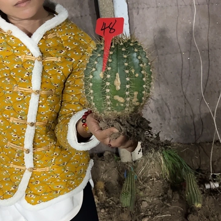 仙女有斑介意勿拍48