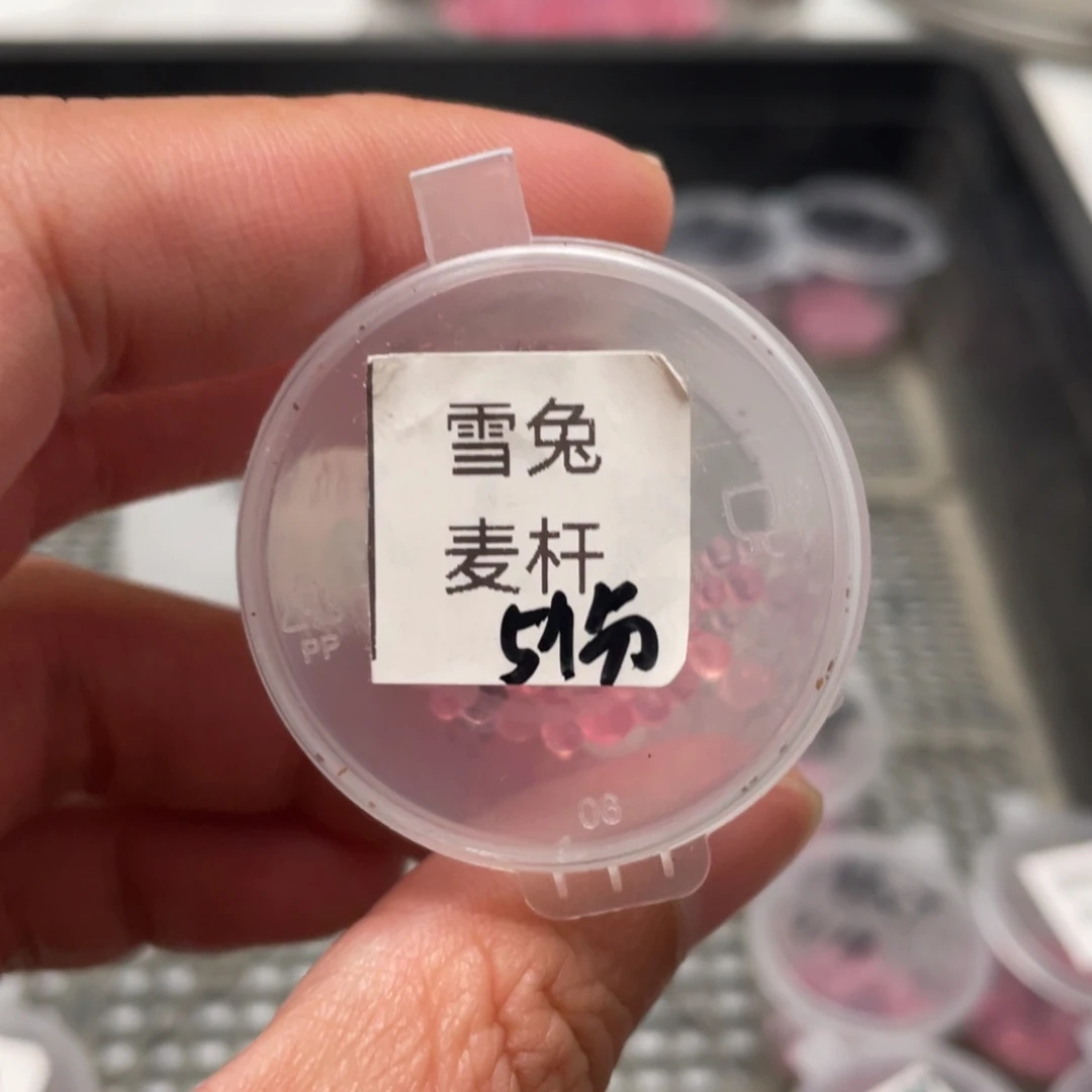 雪兔✖️麦秆20粒，最后两份