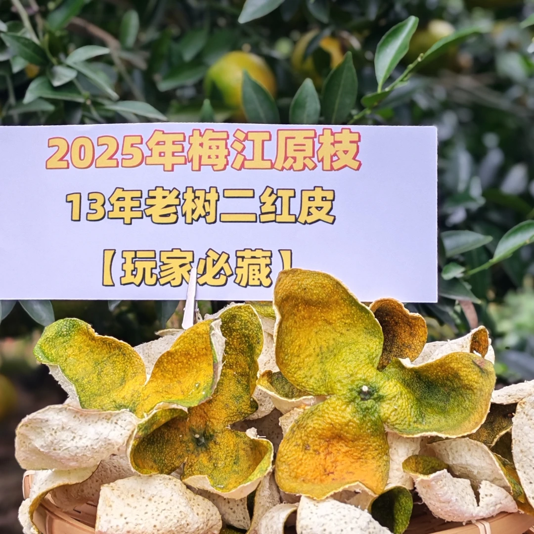 【玩家必藏 13年老树二红皮】2025年梅江原枝老树二红皮