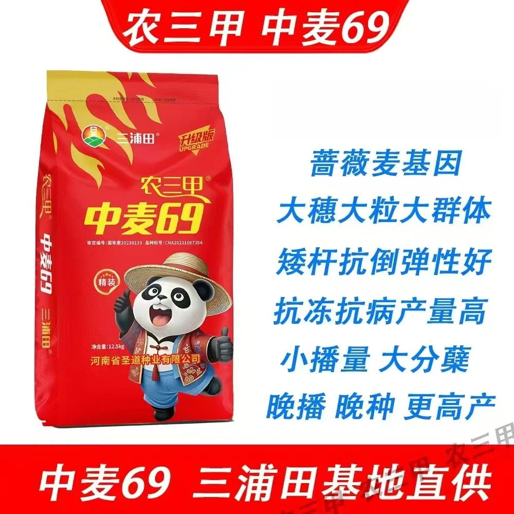 农三甲中麦69（辰科 大华）角质粮抗倒伏能力强 冬性小麦品种