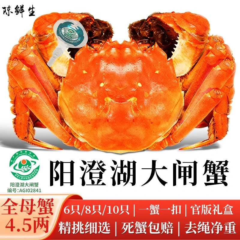 【阳澄湖大闸蟹】全母蟹4.5两6/8/10只顺丰冷链活蟹现发高标准塘养