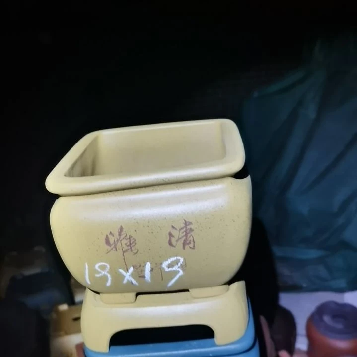 紫砂花盆紫砂花盆放漏大促进