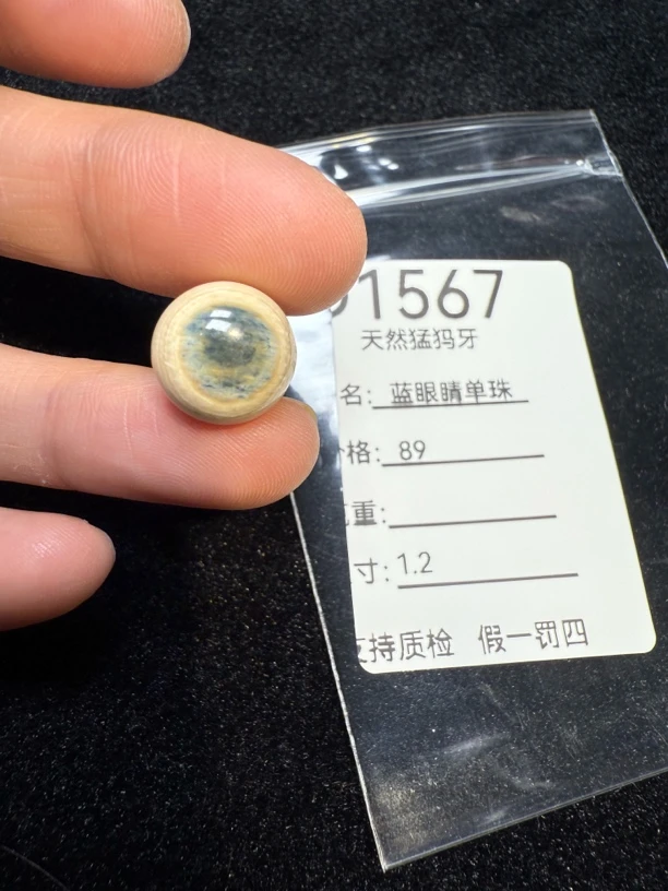 D1567天然猛犸牙12mm蓝眼睛单珠配饰