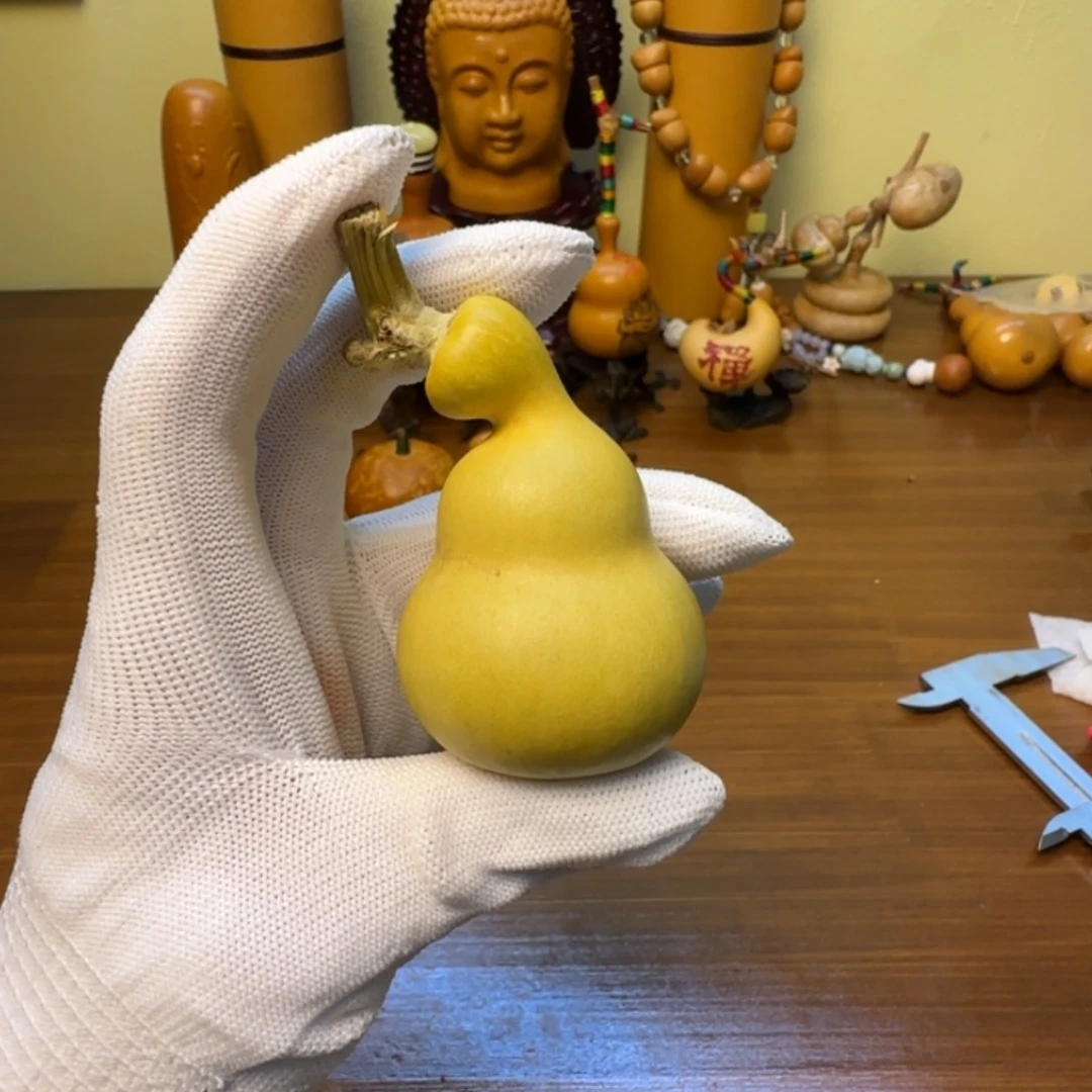 马***y哈哈哈哈哈哈哈哈哈哈哈哈哈哈