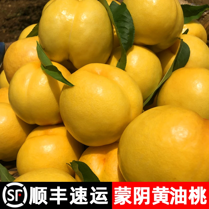山东蒙阴黄桃黄油桃水果新鲜当季水果脆甜多汁黄肉油桃顺丰包邮