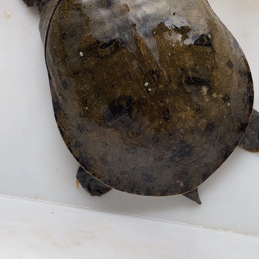 中国大陆12345678