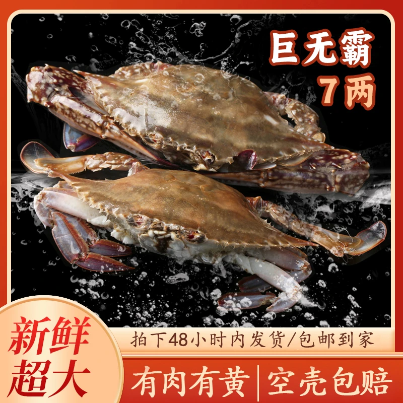 公蟹【冻蟹】7两左右舟山梭子蟹飞蟹新鲜冷冻螃蟹到手3斤半到手5只