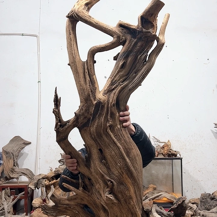 柏木华*我们的生活也是