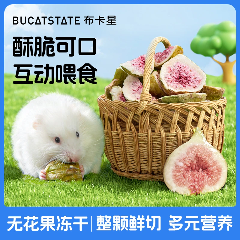 布卡星仓鼠零食无花果冻干金丝熊花枝鼠荷兰猪高营养磨牙粮食专用
