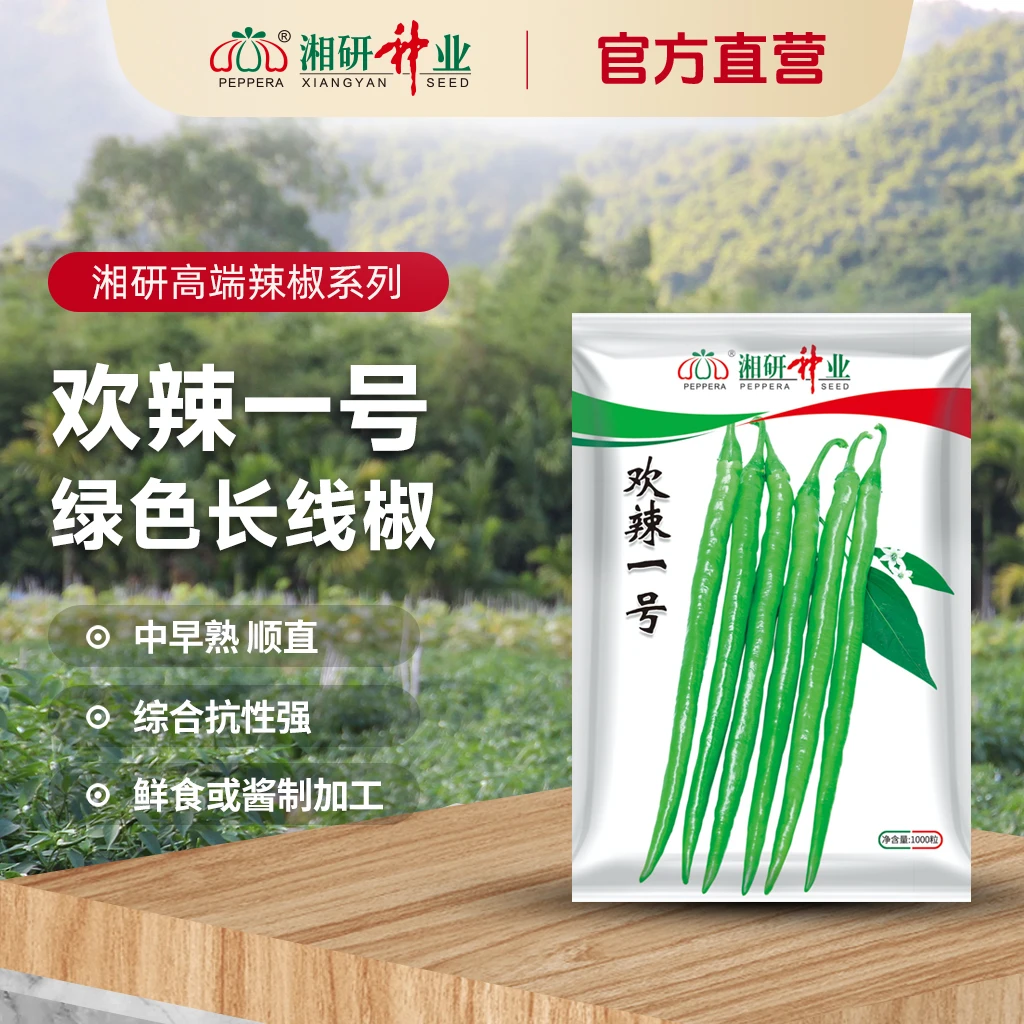 欢辣一号-特色长线椒种子