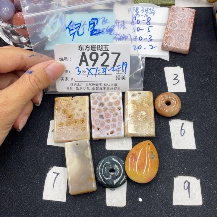 硅化珊瑚（珊瑚玉）颈饰合金?****?