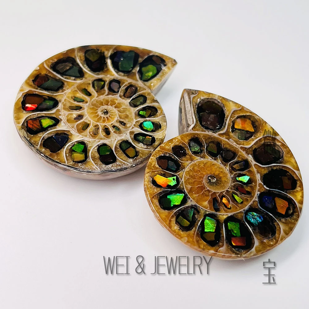 【微予能量】【彩火运】斑彩石原石螺型摆件多样性发一个