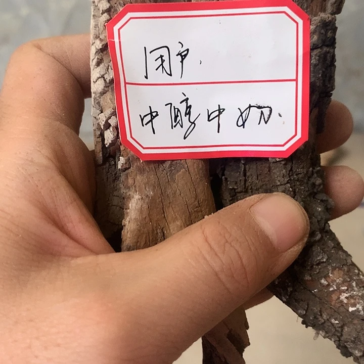 用***和大叶紫檀（黑酸枝木类）
